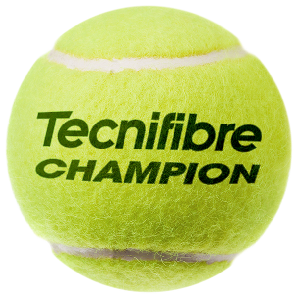 Мяч теннисный CHAMPION (144 мяча) — изображение 2